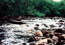 Река Куштумга